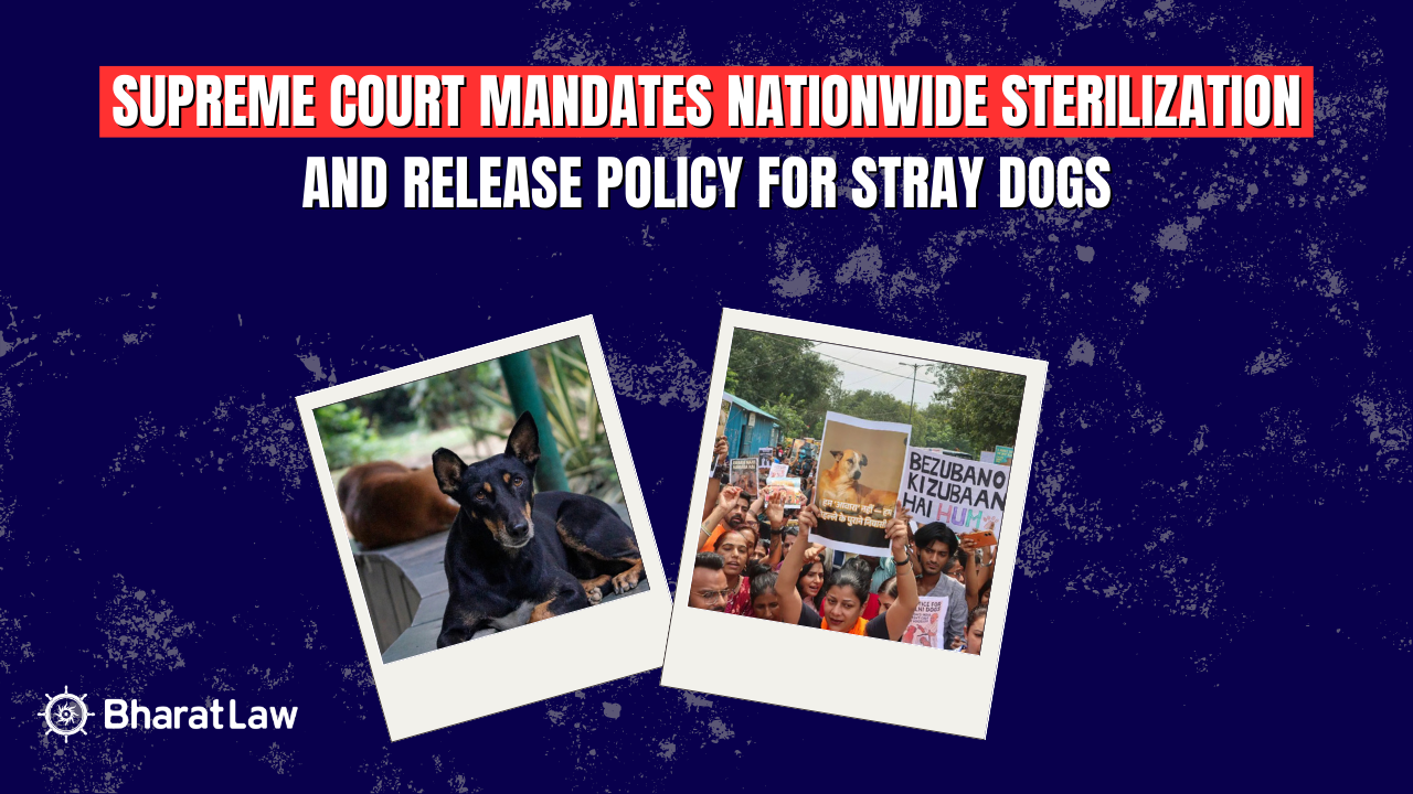 Supreme Court Mandates Nationwide Sterilization and Release Policy for Stray Dogs